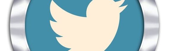 הטוויטר של רחל מנדי – המקום ללמוד על עולם הנדלן